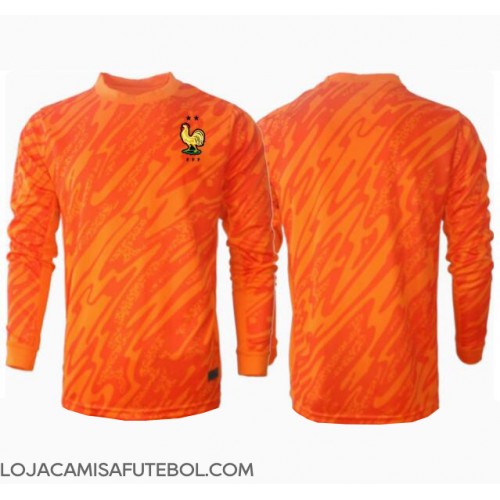 Camisa de Futebol França Goleiro Equipamento Secundário Europeu 2024 Manga Comprida
